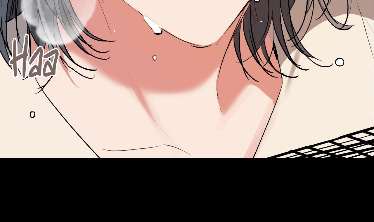 đàn thỏ của habibi chapter 45 149