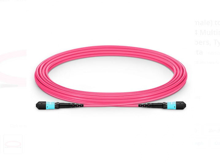 Dây nhảy quang MTP to MTP Female, OM4 Type A, 12 Fibers Elite Trunk Cable sample - Xmethod Network - Hàng chính hãng
