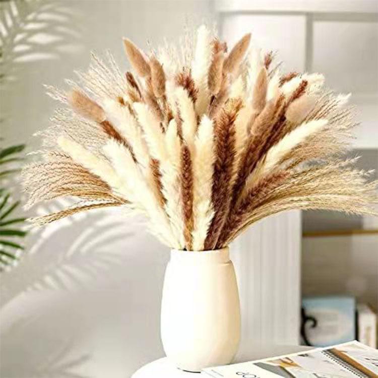 70 Cỏ Pampas Khô Tự Nhiên Trang Trí, Bó Hoa Khô, Thành Phần Hoa Pampas Sấy Khô Màu Be Trắng, Lông Pampas, Cây Trang Trí Nhà, Đám Cưới Phong Cách Boho, Phòng Ngủ, Sinh Nhật