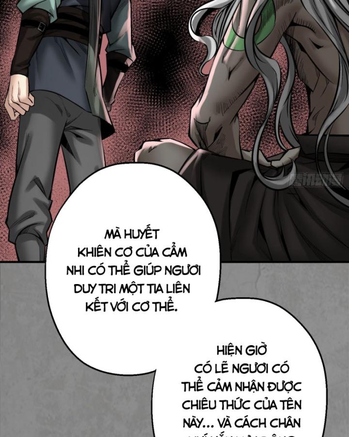 Tạng Phong Hành chapter 211 17