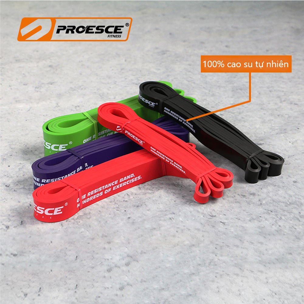 DÂY KHÁNG LỰC TẬP GYM POWERBAND CHÍNH HÃNG PROESCE HỖ TRỢ TẬP GYM, LÊN XÀ