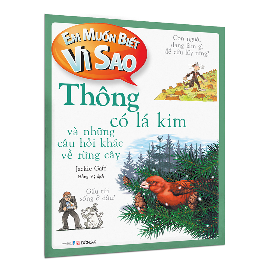 Em muốn biết vì sao thông có lá kim và những câu hỏi khác về rừng cây