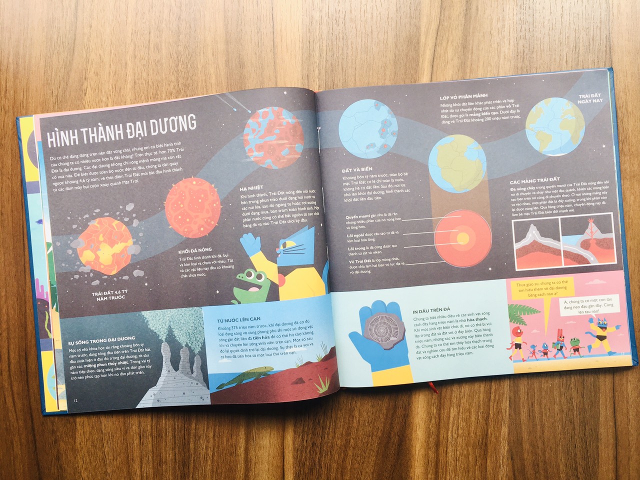 Bộ Sách Giáo Sư Mèo Siêu Việt: Phiêu Lưu Trong Cơ Thể Người + Thám Hiểm Thế Giới Nguyên Tử + Khám Phá Không Gian + Du Hành Biển Thẳm