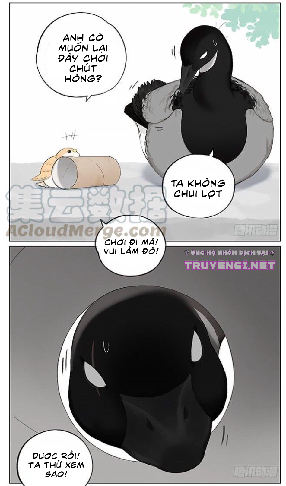 sẻ chiếu mới và nhạn phong sương chapter 3 3