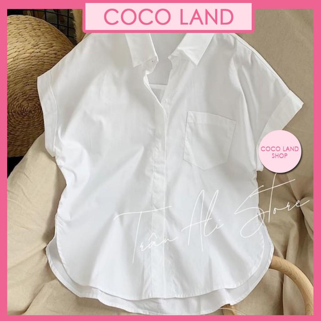 Áo sơ mi nữ cộc tay cánh dơi cá tính