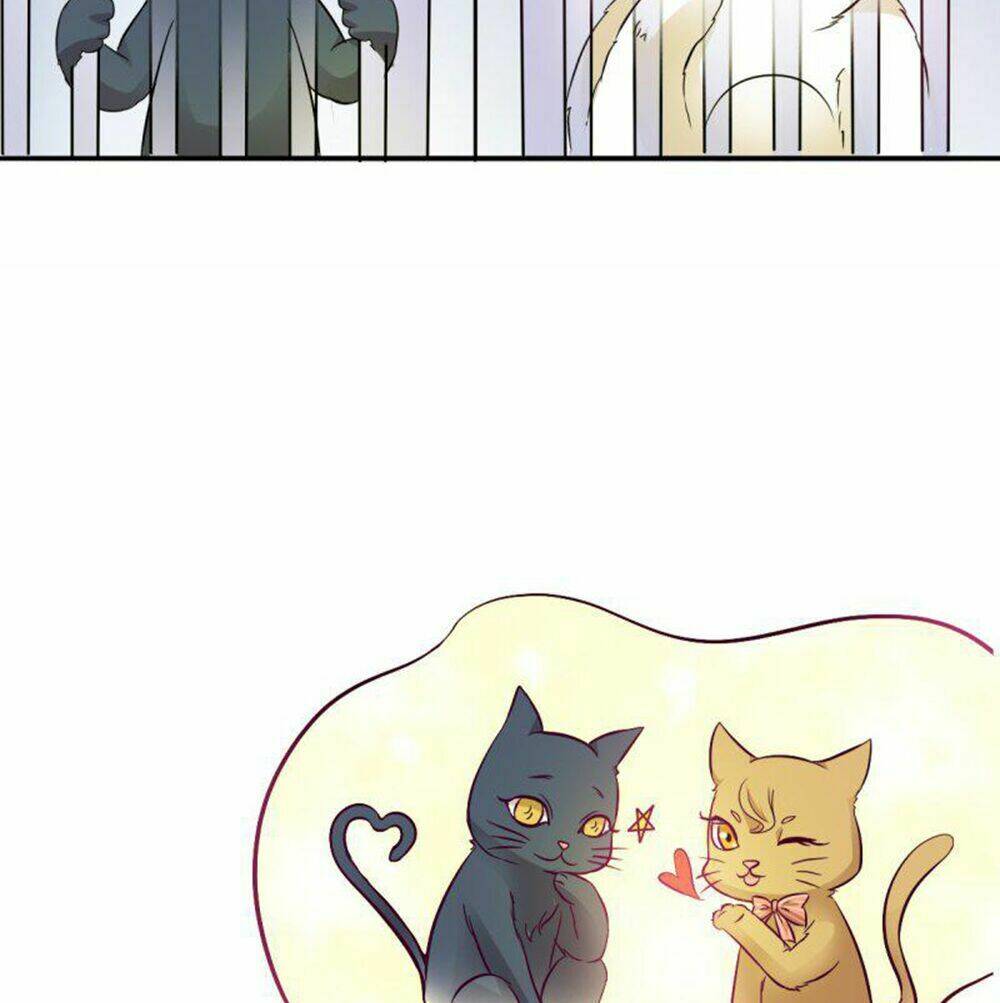 hai chú mèo totem chapter 3 14