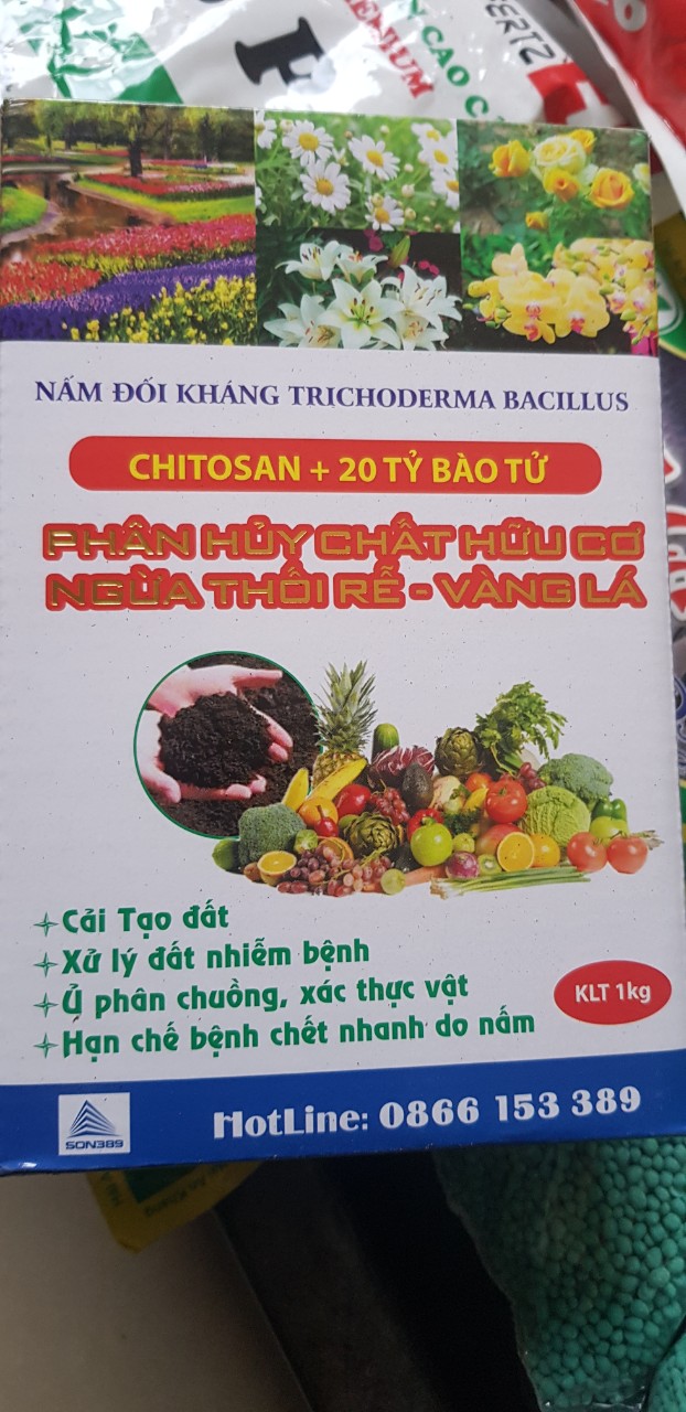 Nấm Trichoderma Bacillus gói 1kg