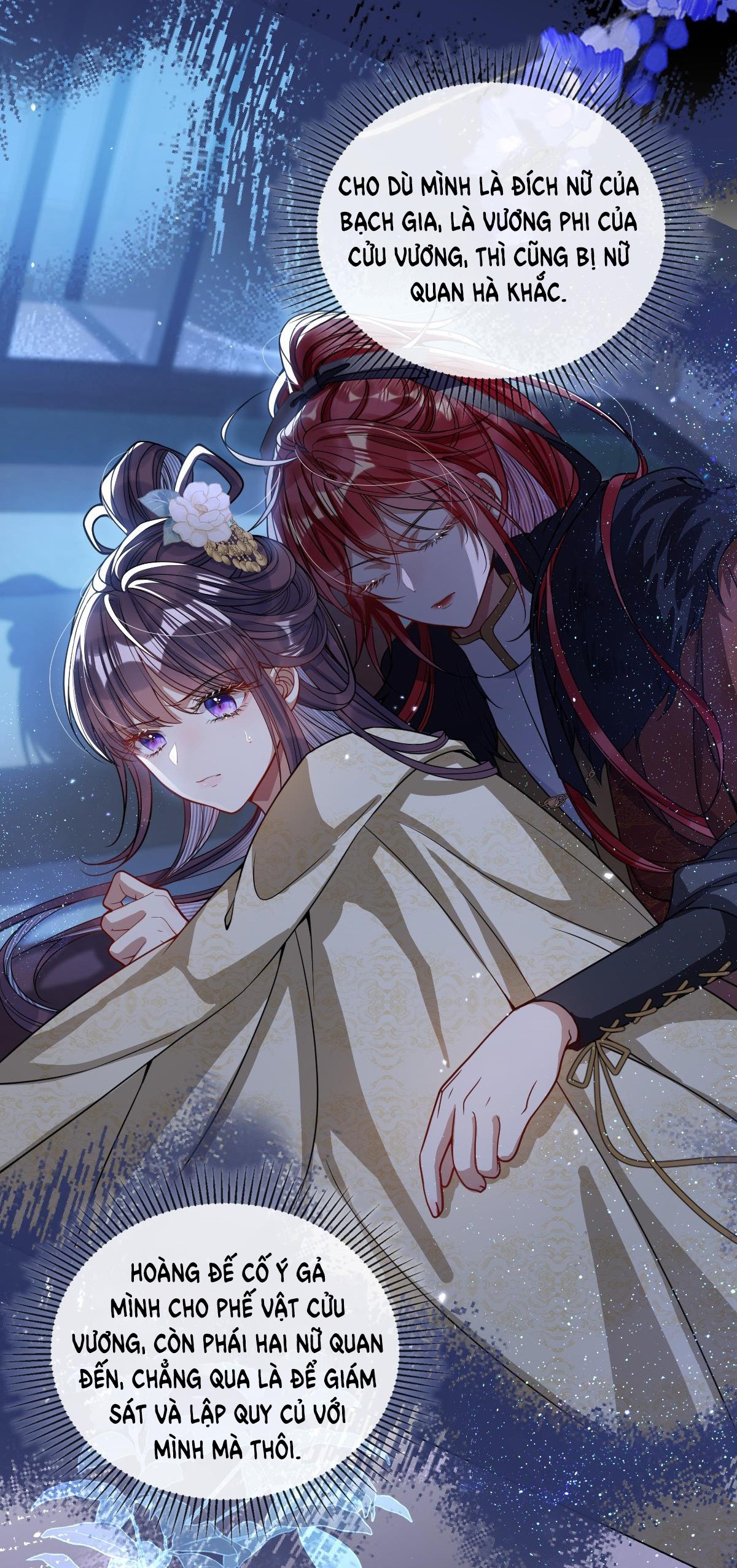 kiều dưỡng mỹ nhân điên chapter 6.2 9