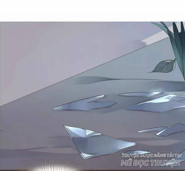 nở rộ trên bụi gai chapter 45 11