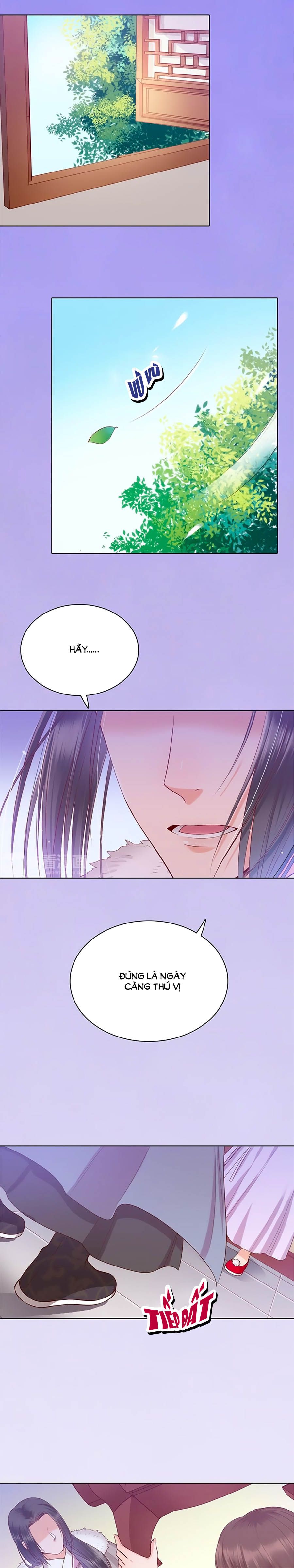 mỹ nhân già rồi chapter 36 11