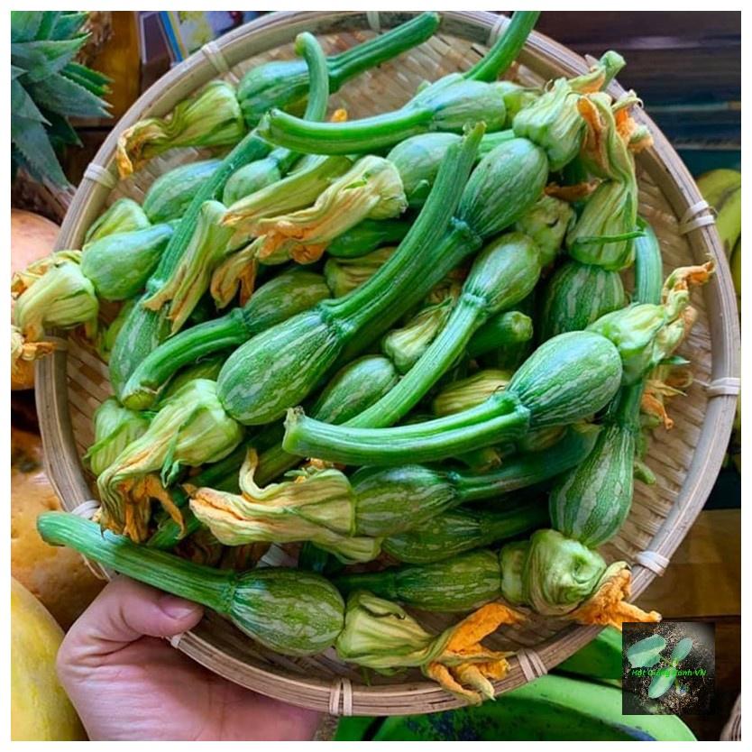 Hạt giống bí ăn nụ, đóng gói 0.5gr