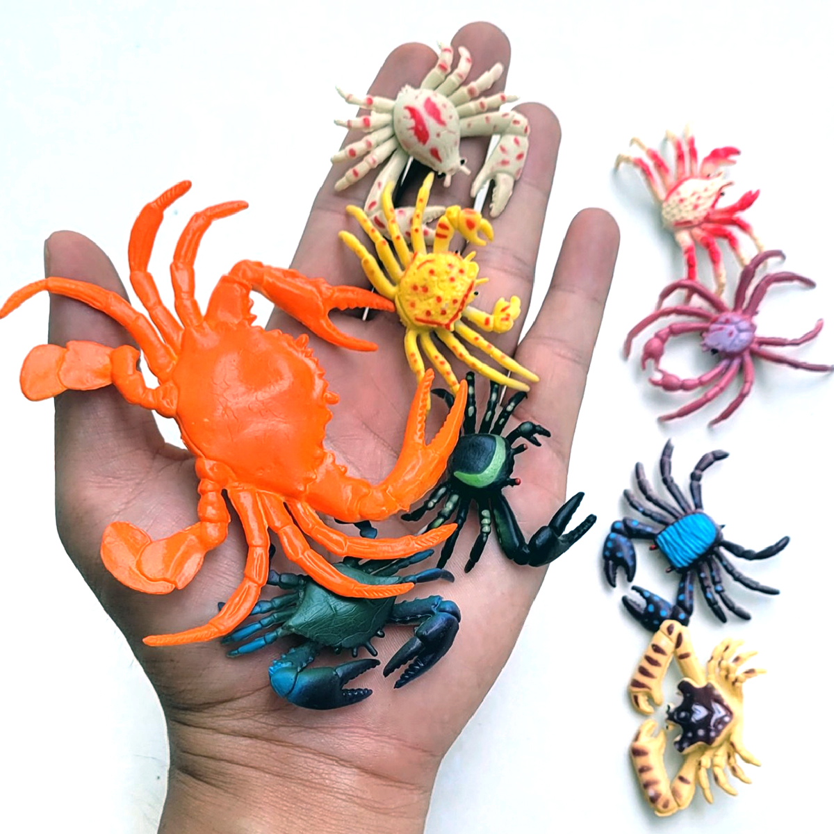 Đồ Chơi Mô Hình 9 Con Cua Bằng Nhựa Dẻo Natural Crab Vui Nhộn Cho Trẻ Em mô hình sinh vật biển