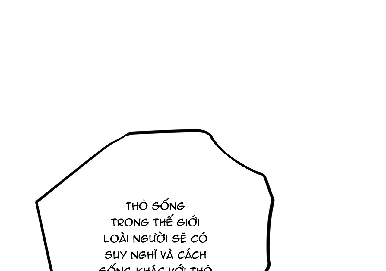 đàn thỏ của habibi chapter 21 210