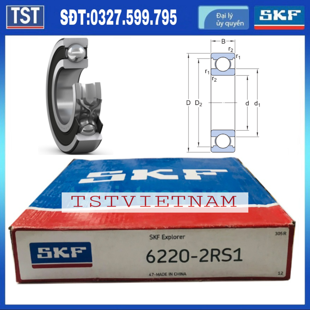 Vòng bi bạc đạn SKF 6220-2RS1