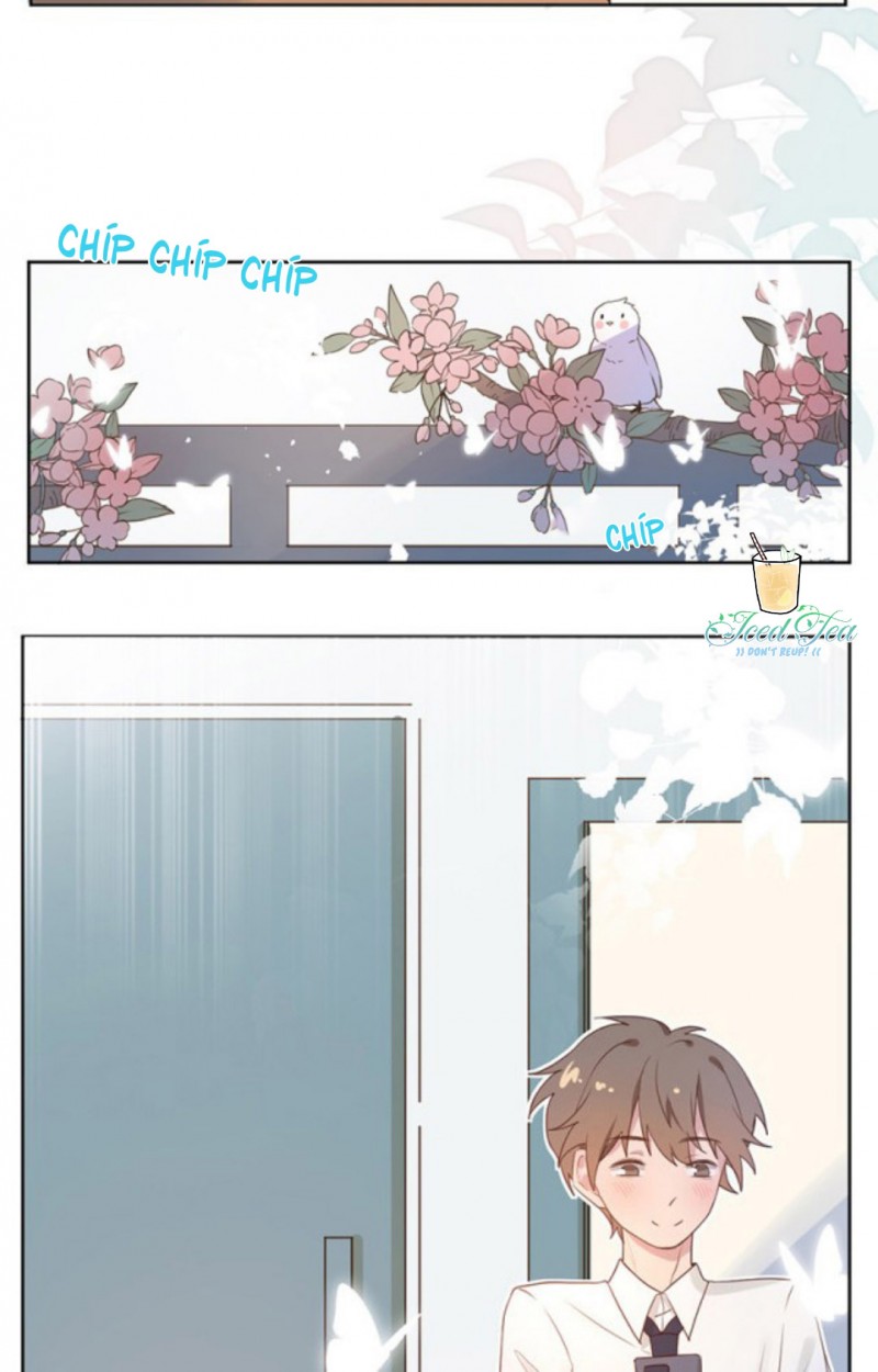 mối tình đầu của cậu ấy lại chính là tôi chapter 1 13