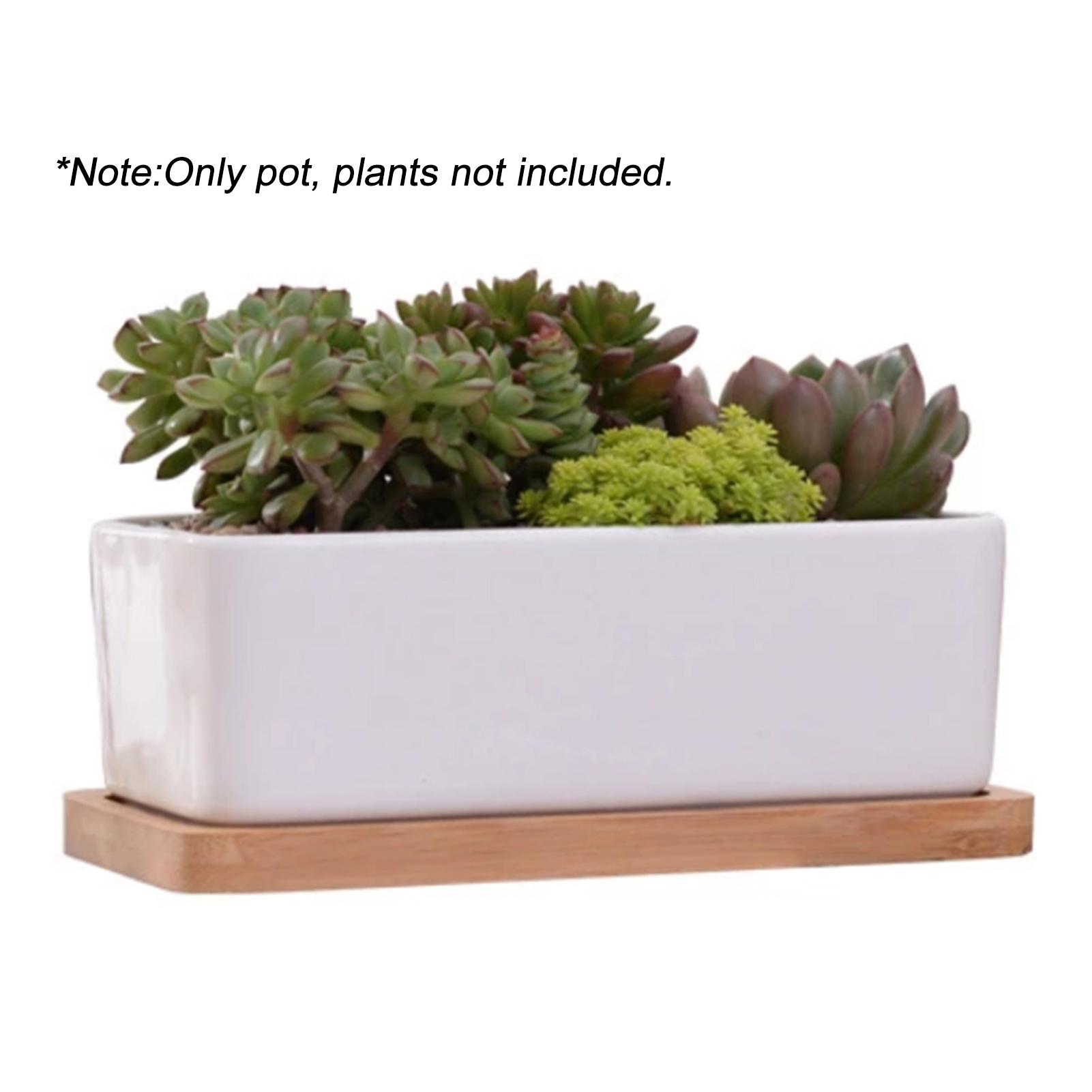 Chậu hoa bằng gốm hình chữ nhật màu trắng có khay tre để trang trí bàn làm việc