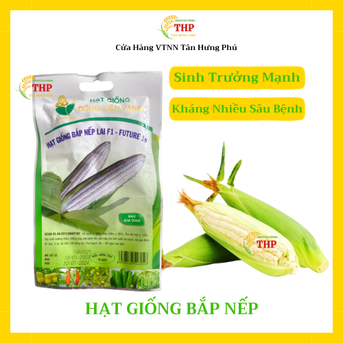 Hạt giống Bắp Nếp Lai F1 Future 16 | Hạt Giống | gói 10gram