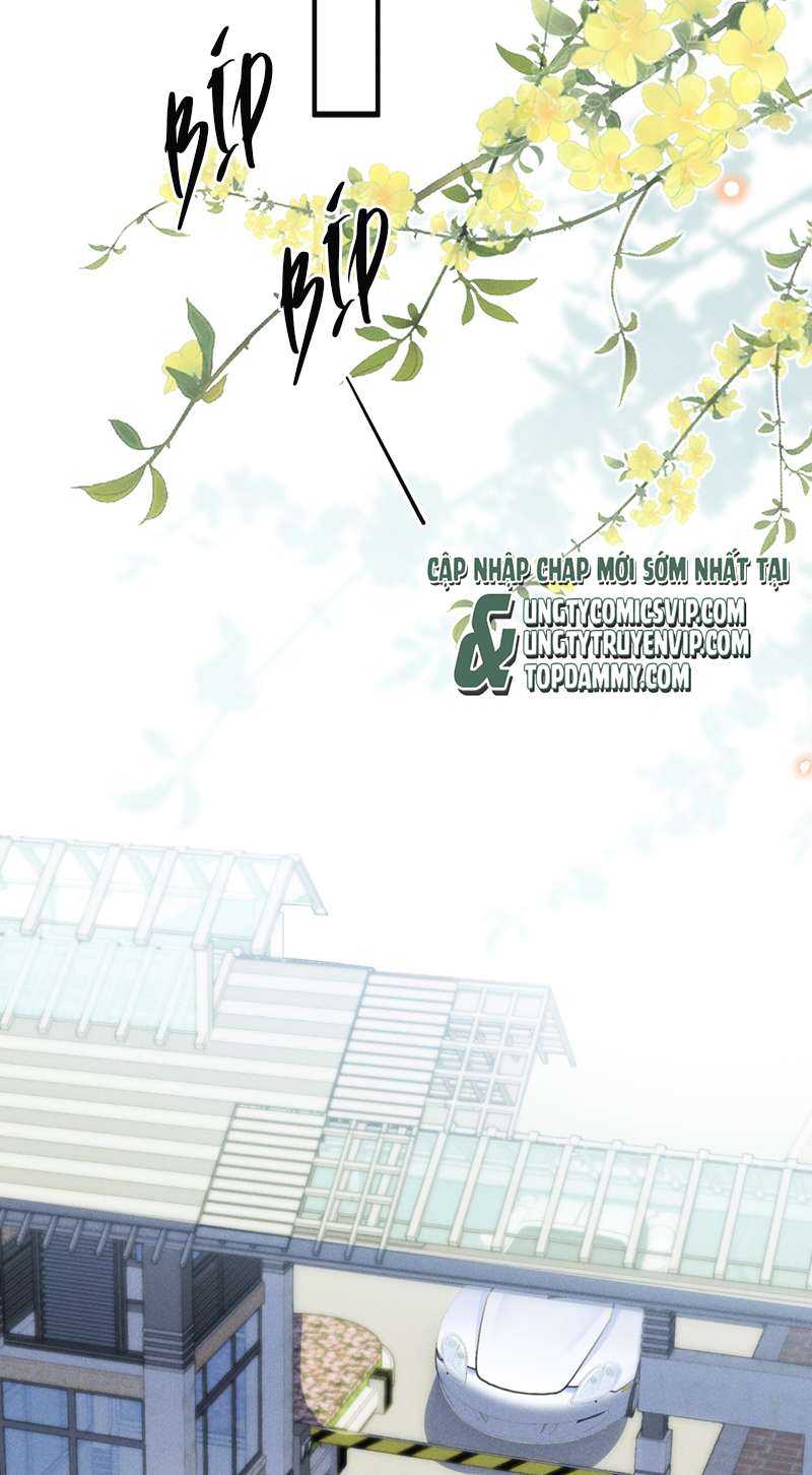 lai sinh bất kiến chapter 87 39