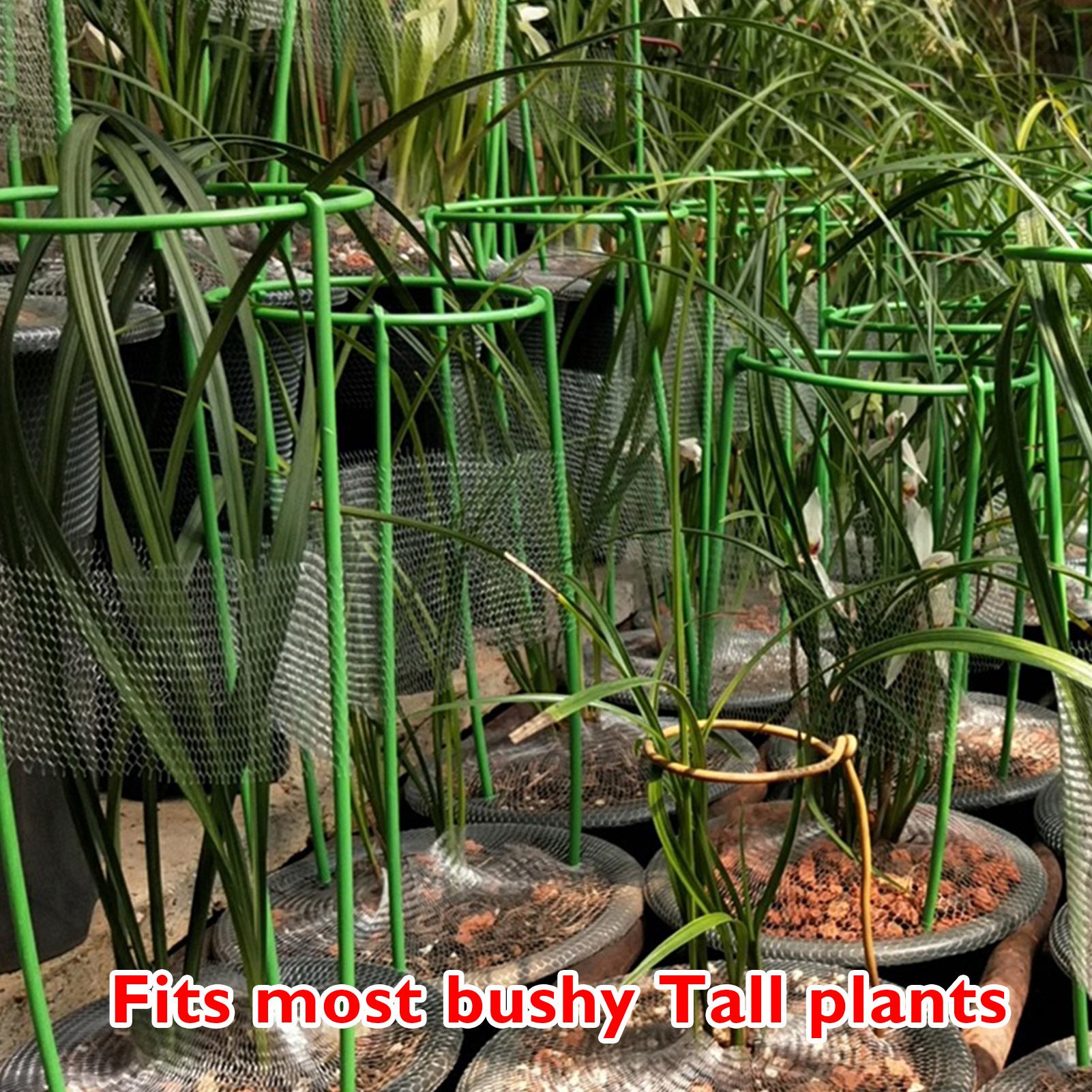 Khung Cọc Hỗ Trợ Trồng Cây Dây Leo Gọn Gàng Tiện Dụng