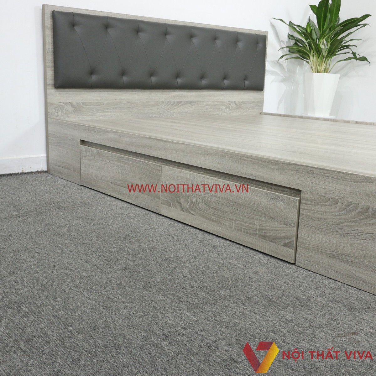 Giường Ngủ Gỗ MDF Melamine Màu Xám Vân Gỗ Có Hộc Kéo + Đầu Nệm Xanh Đen Đẹp Hiện Đại