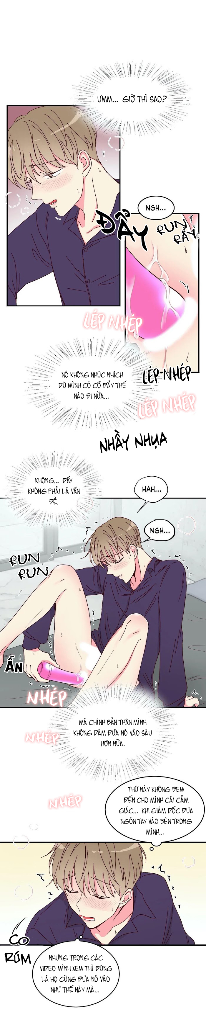 món tráng miệng của sếp tổng chapter 13 6