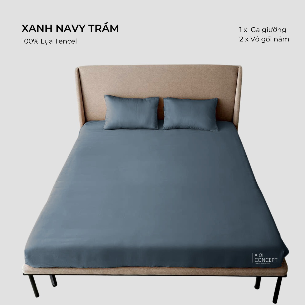 Combo 3 Món Lụa Tencel Ga Giường 1m6 x 2m và 2 vỏ gối nằm À Ơi Concept cao cấp Hàn Quốc nhiều màu