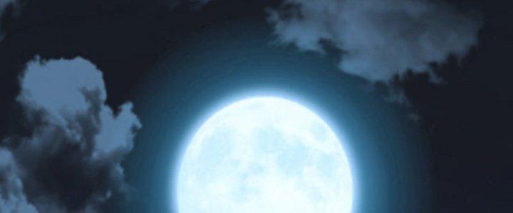 bảo vật rơi xuống đều thành muội tử chapter 15 96