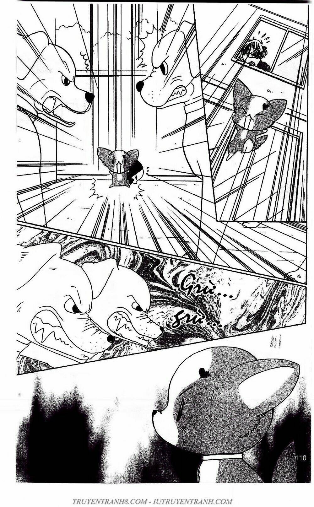 bộ sưu tập lọ lem chapter 51 8