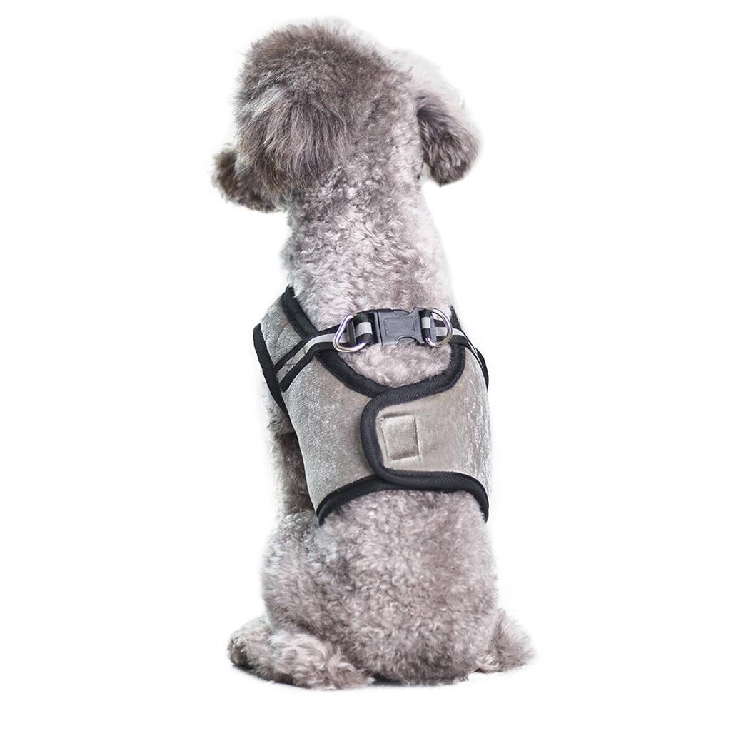 Pet Dog Adjustable Outdoor Training Harness Vest for Pet Outdoor Wear