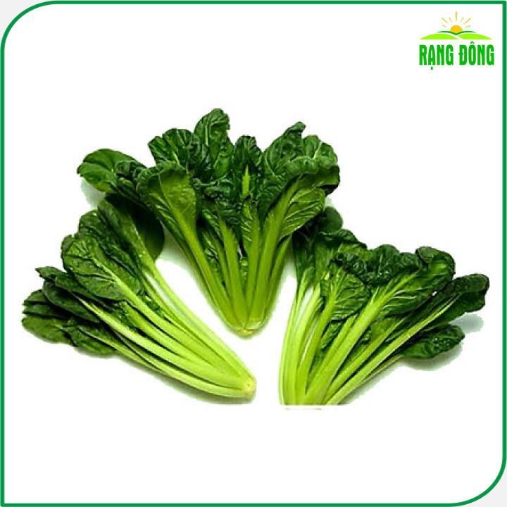 Hạt giống Cải Hoa Hồng Dễ Trồng, Kháng Bệnh Tốt - Hạt Giống Rạng Đông