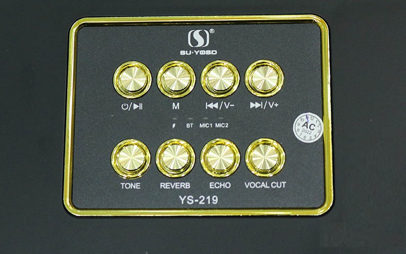 Loa Bluetooth Karaoke Sothing YS-219 Kèm 2 Micro Có Quai Xách Du Lịch- Hàng chính hãng