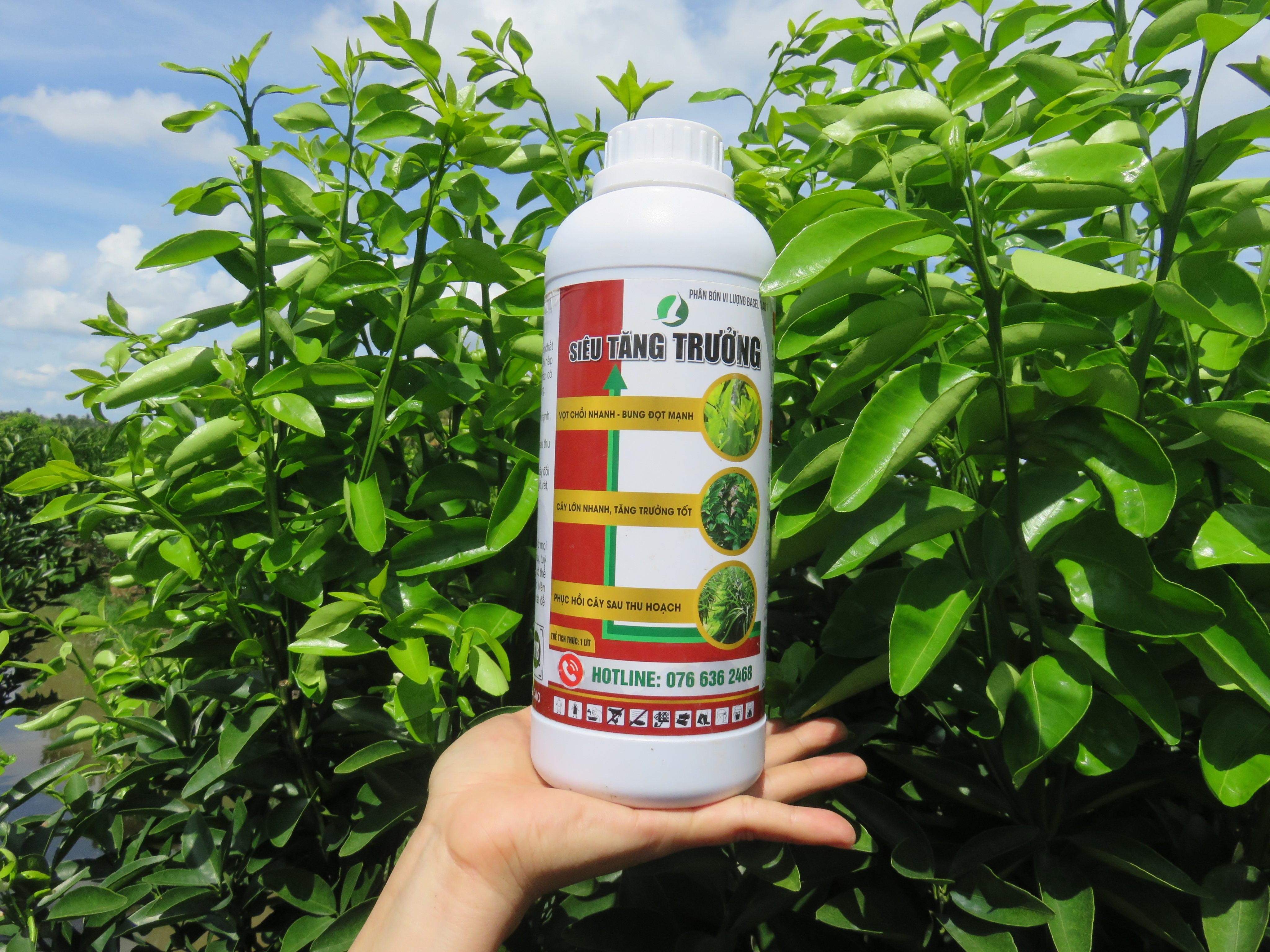 PHÂN BÓN LÁ SIÊU TĂNG TRƯỞNG - SIÊU BUNG ĐỌT/DƯỠNG CÂY CHAI 1 LÍT