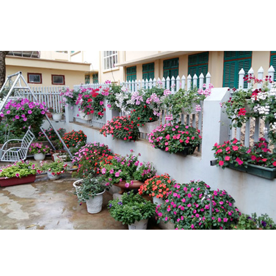 Chậu trồng cây viền lượn sóng chất liệu cao cấp - Hàng nội địa Nhật