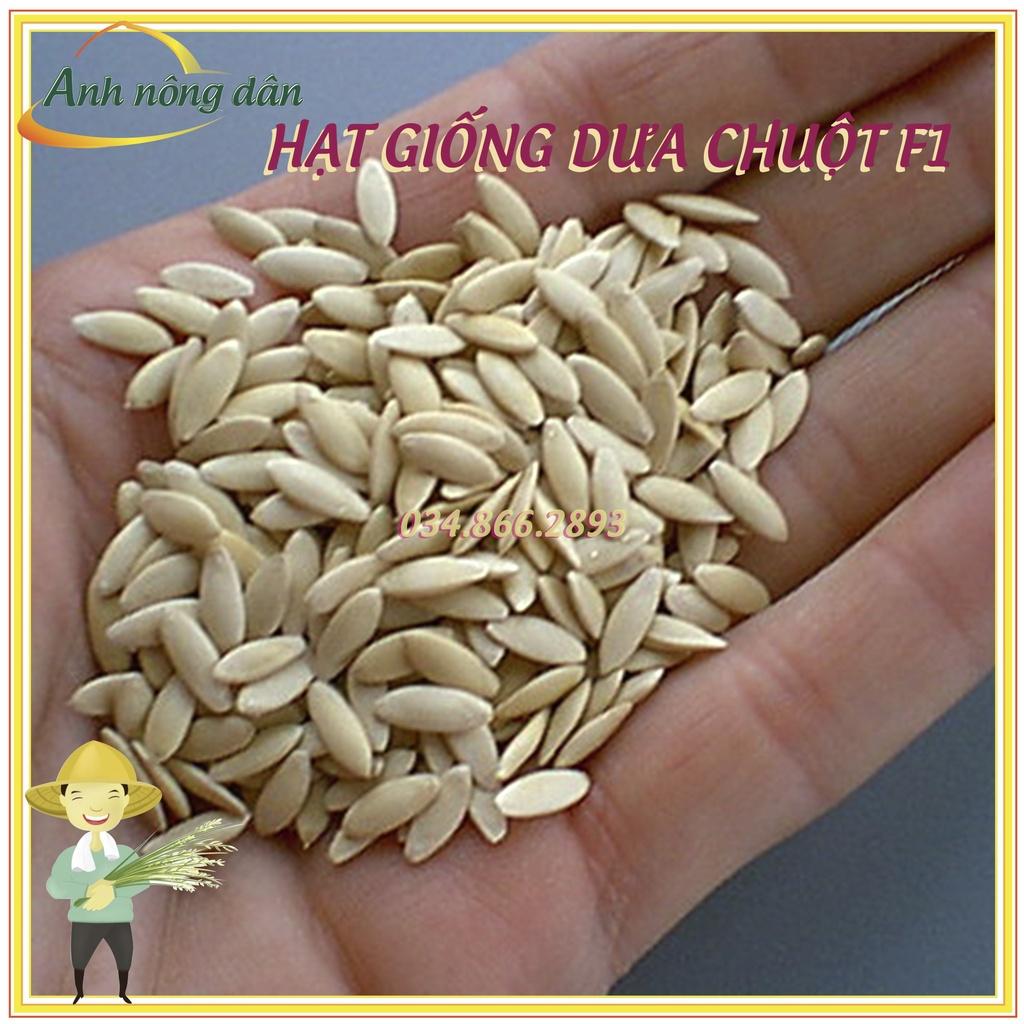 Gói 10g Hạt giống dưa leo chịu nhiệt, dưa chuột cao sản - dễ nảy mầm, chất lượng cao