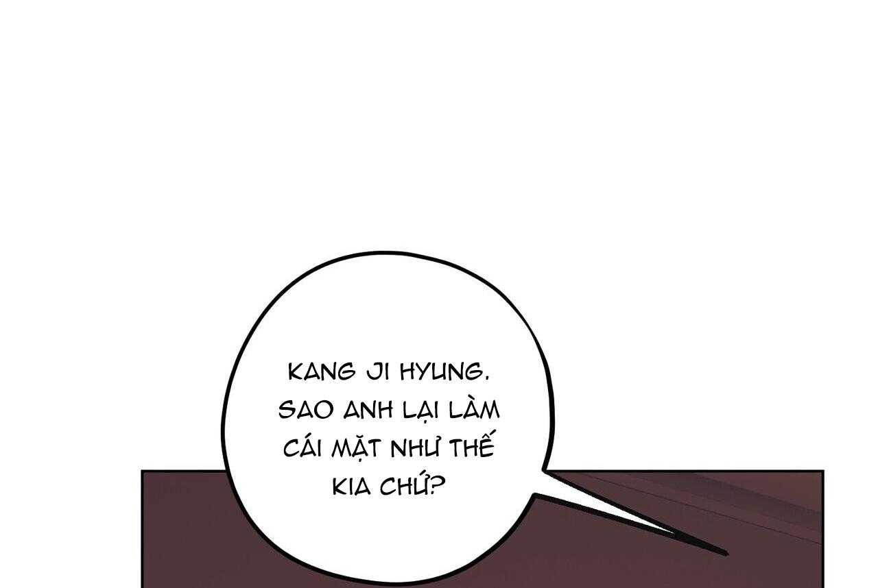 chàng dâu nhà họ kang chapter 68 72