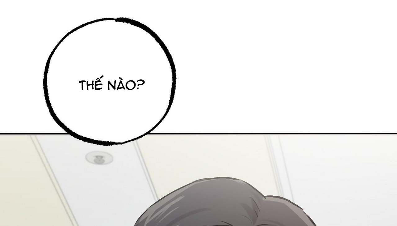 đàn thỏ của habibi chapter 47 175