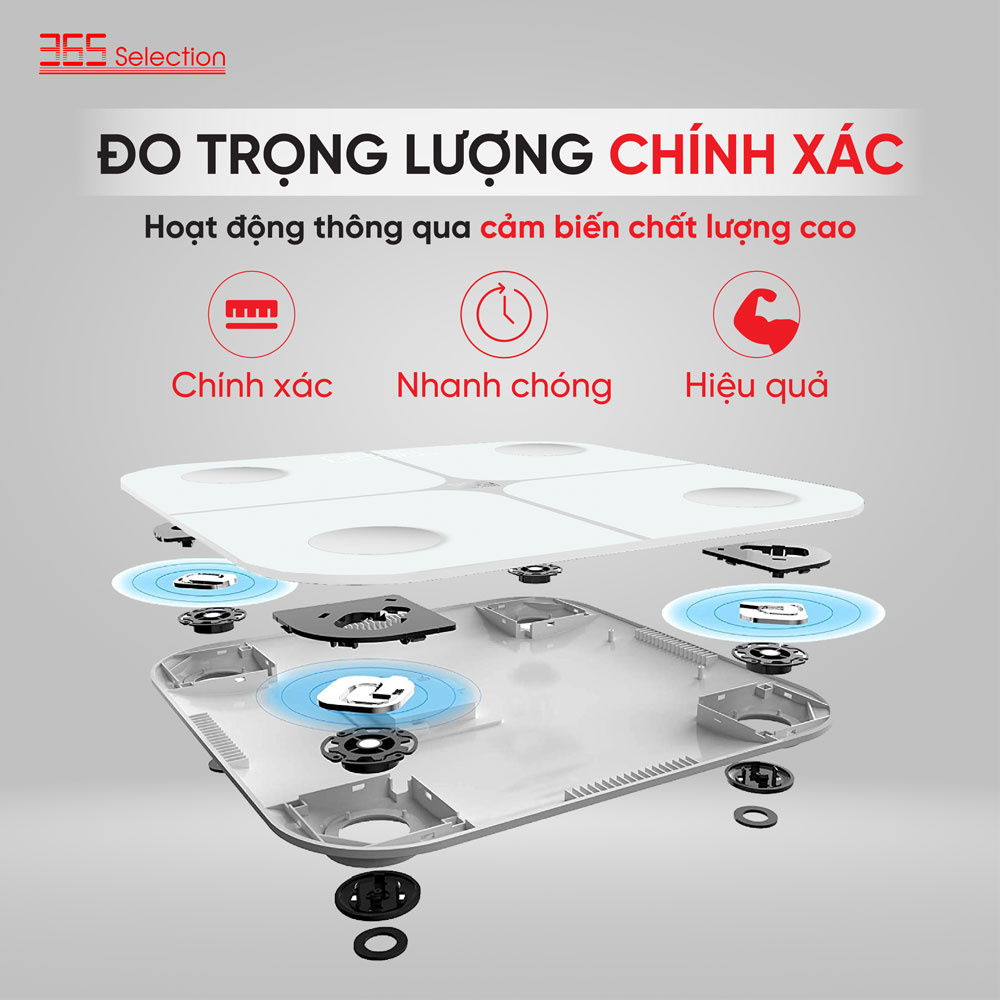 Cân điện tử thông minh 365 Selection WS1 / WS2 - Đo 18 chỉ số cơ thể, Màn hình led hiển thị - HÀNG CHÍNH HÃNG