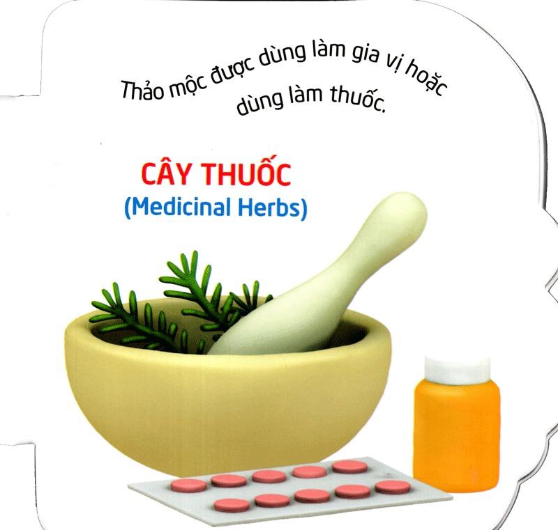 Truyện Cổ Tích Việt Nam Dành Cho Thiếu Nhi - Tấm Cám (Tái Bản 2023)