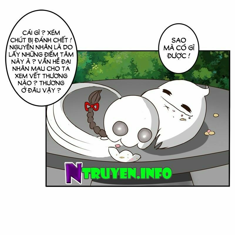 thông linh phi chapter 36 11