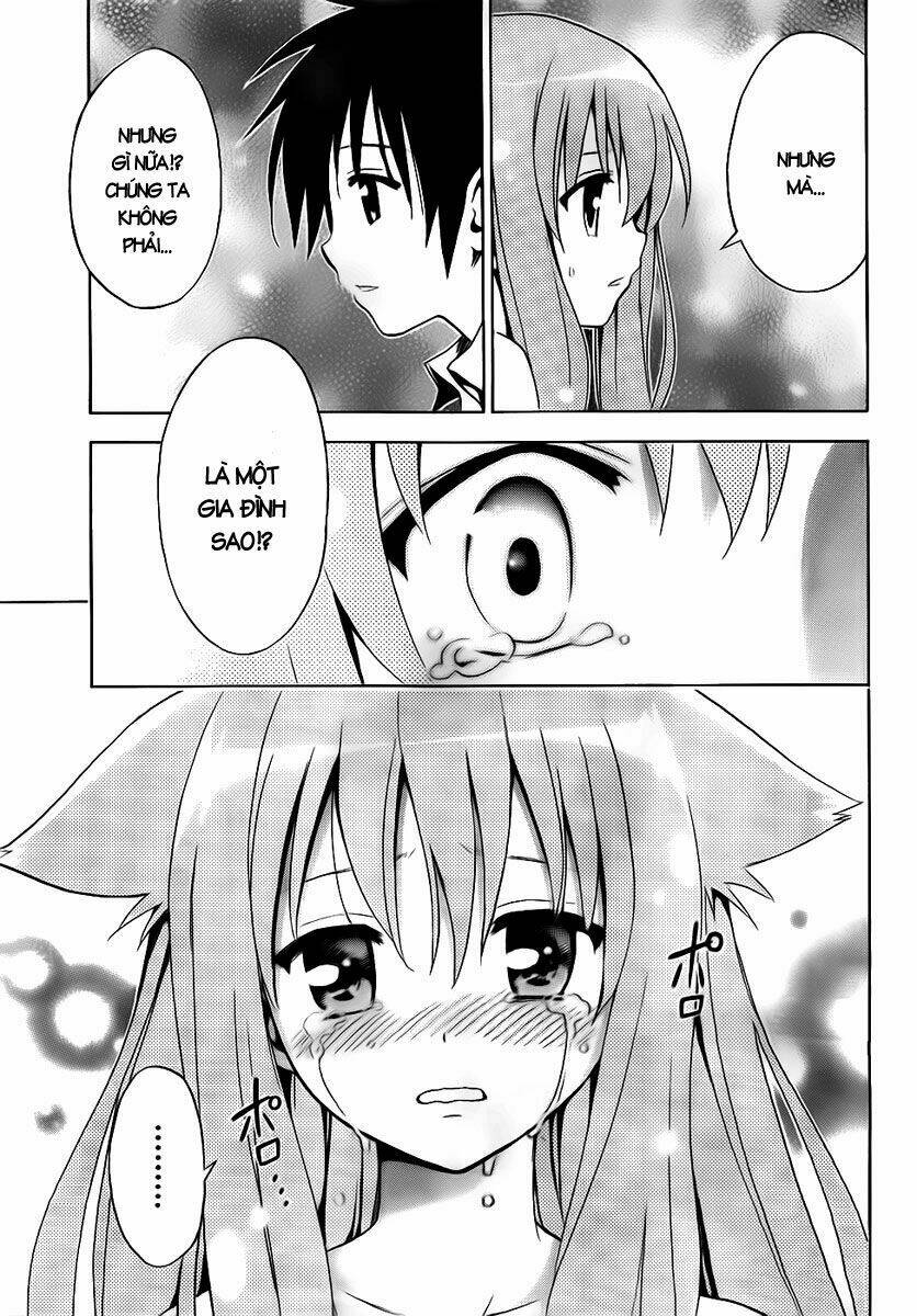 mayoi neko overrun! chapter 1 65