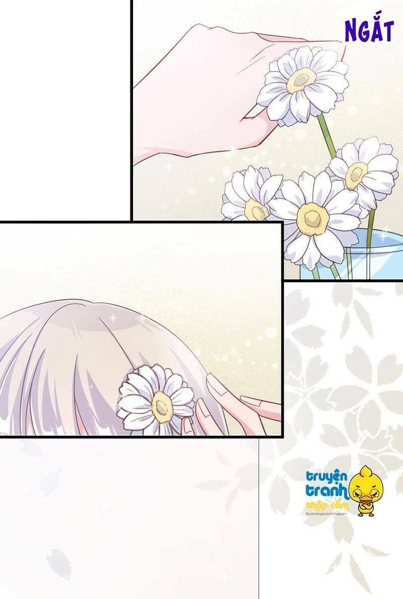 chọc tới chủ tịch tổng tài 2 chapter 19 4