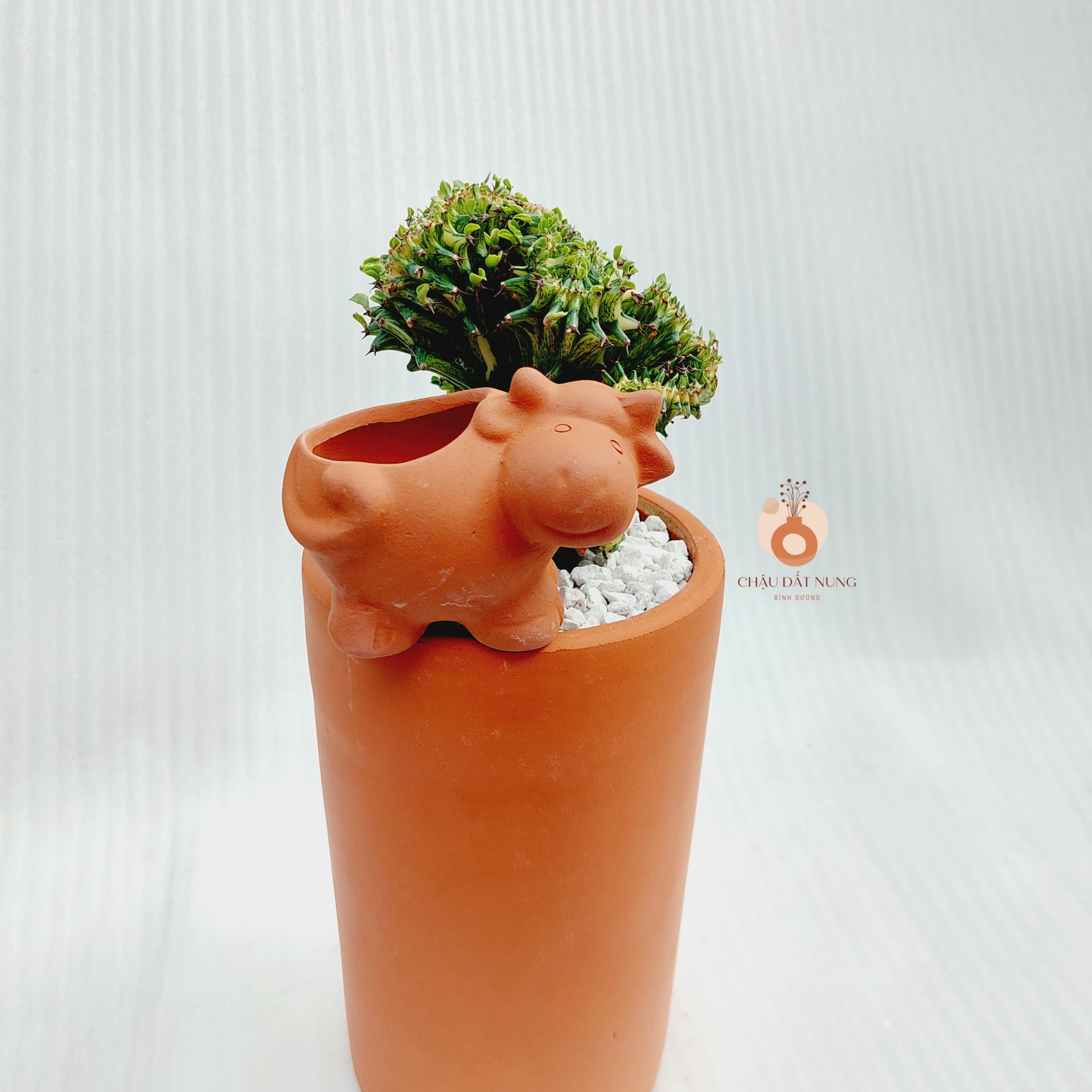 Chậu đất nung Bình Dương - Trụ cao 1424, đường kính miệng là 14cm, chiều cao là 24cm