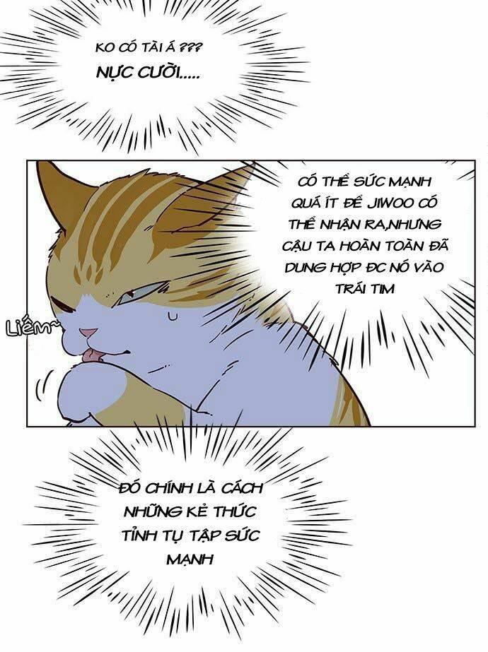biến thân thành mèo chapter 9 27