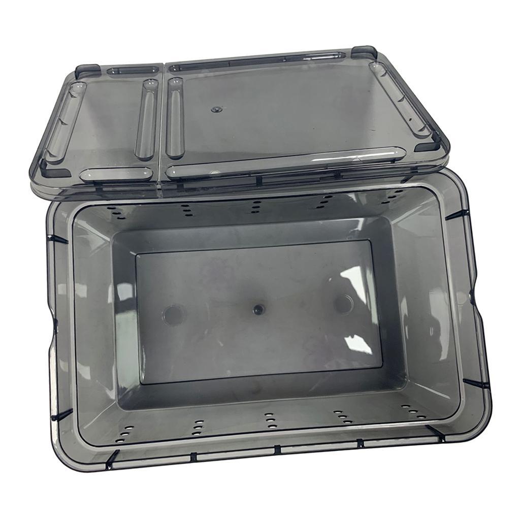 Reptile Breeding Box Spider Feeding Hatching Tank Black