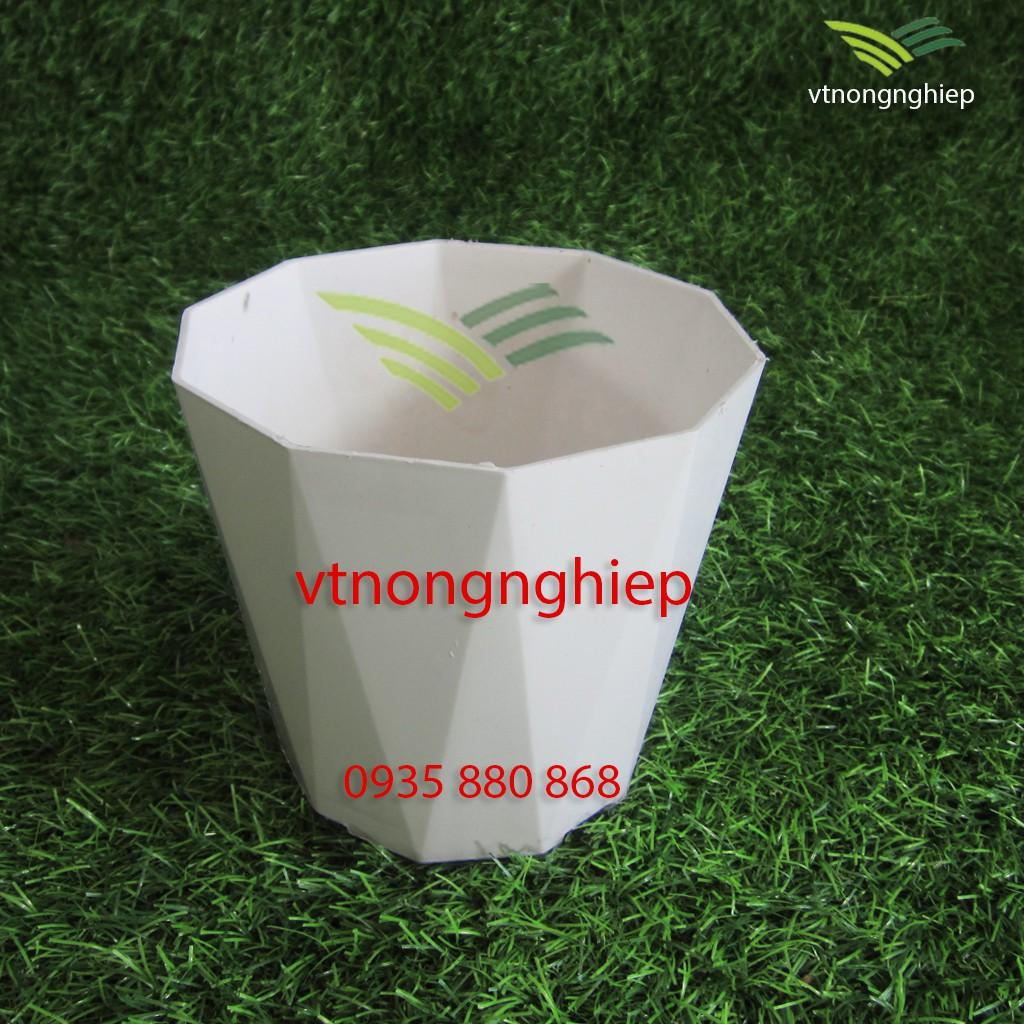 Chậu trồng cây, Ly 10 Cạnh, đường kính 15cm, cao 13cm
