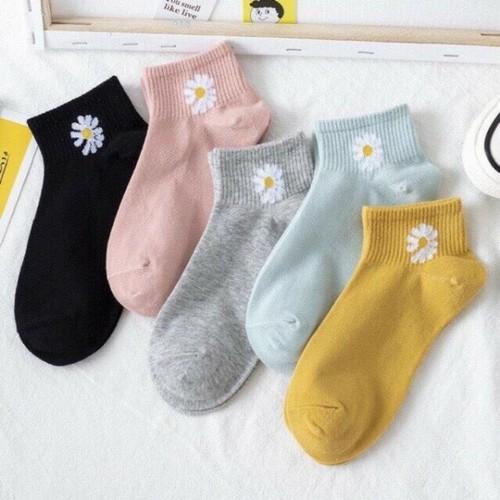 Sét 10 Tất cổ ngắn in hình hoa cúc nhiều màu