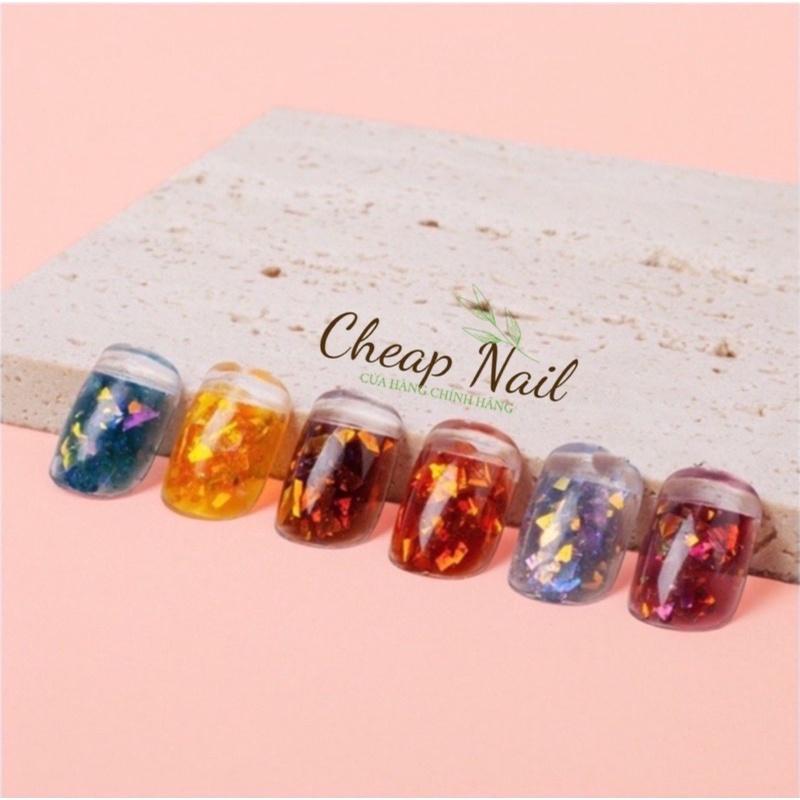 Gel hổ phách set 6 hũ tặng kèm bảng màu beeshi shop nail