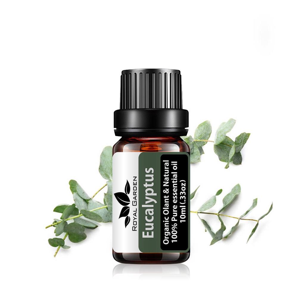 Tinh dầu 10ml / 50ml Bạch Đàn Eucalyptus - Triết xuất thiên nhiên 100% từ Úc