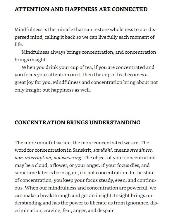 How To Focus (Mindfulness Essentials)