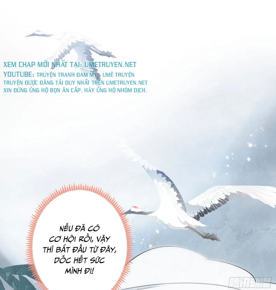 lại bị nam thần chọc trên hot search! chapter 74 18